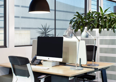 Aleska-Office-4